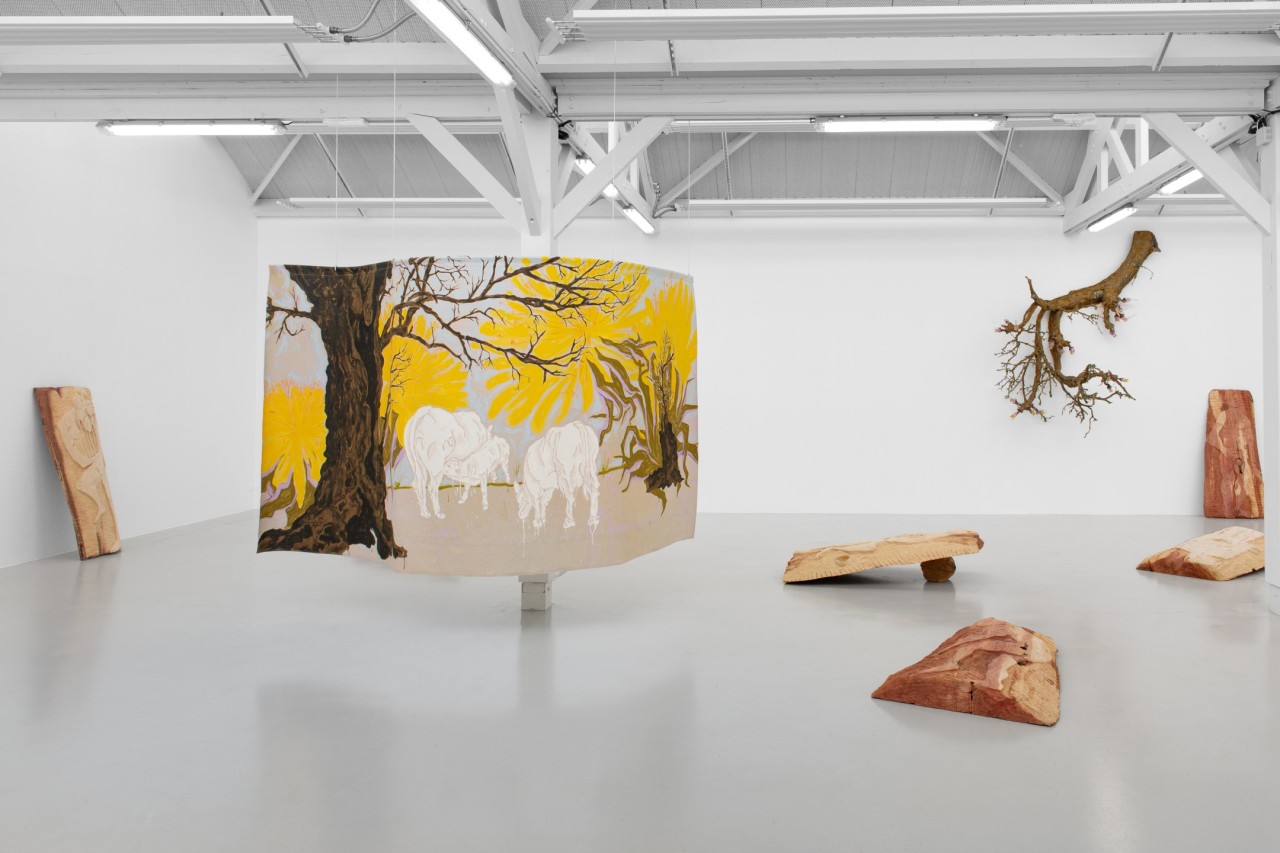 DCA - centre d'art - Nouaison, 2023, vue de l’exposition. Production : 40mcube. Commissariat : 40mcube et Aurélie Ferruel & Florentine Guédon. Photo : Margot Montigny.