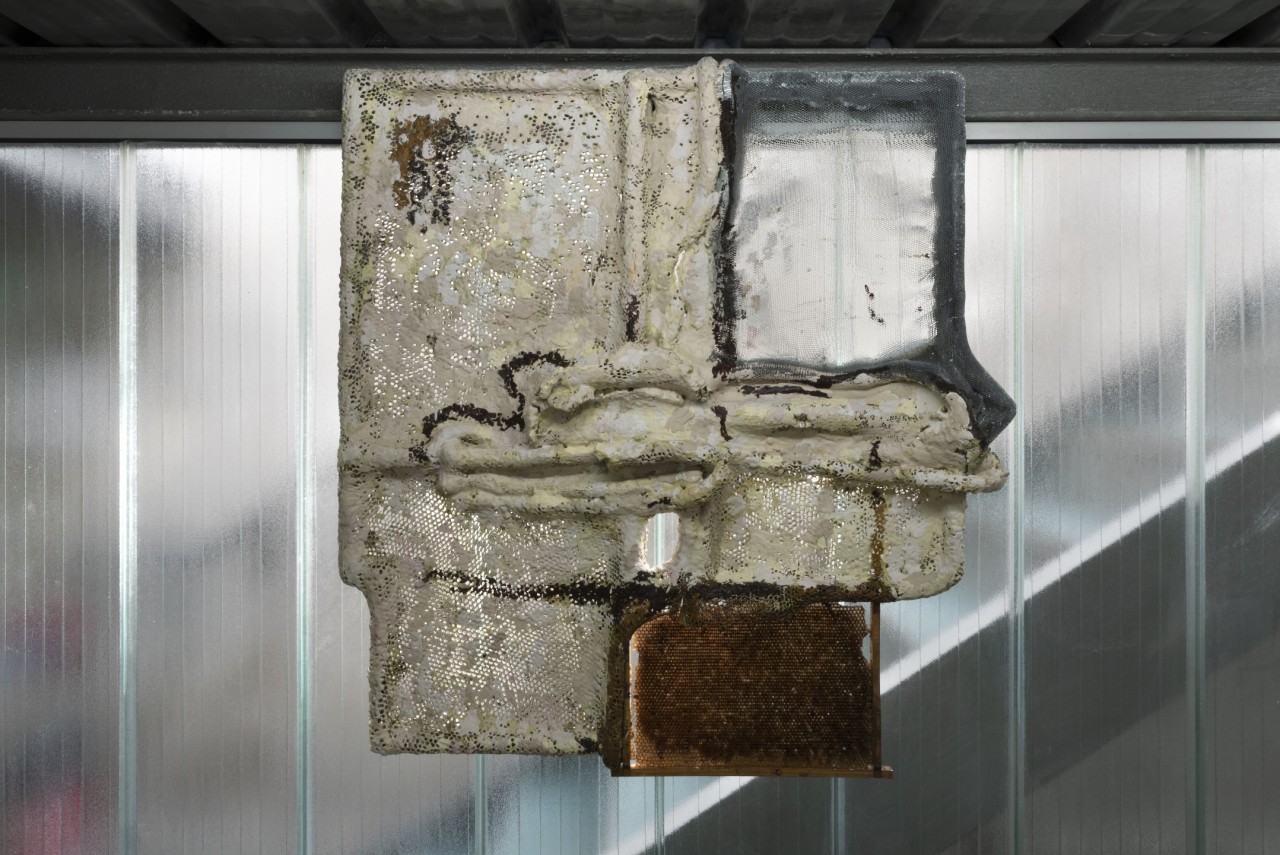 Piotr Łakomy, 6B Growing, 2021, Le Creux de l'Enfer