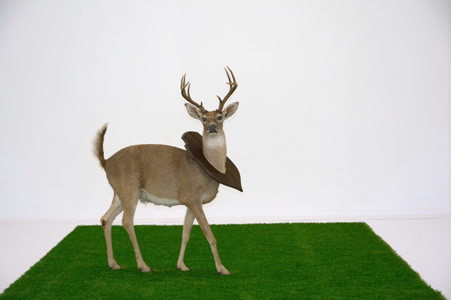 Céline Cléron, Actéon, 2015
