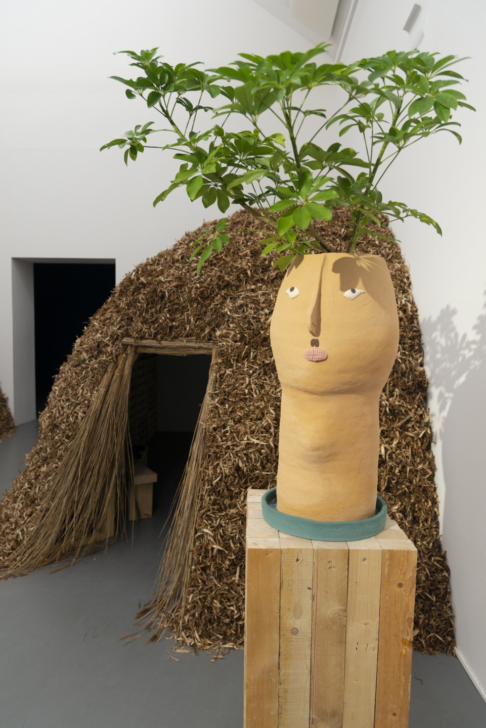 Éléonore Saintagnan, Adam, 2019