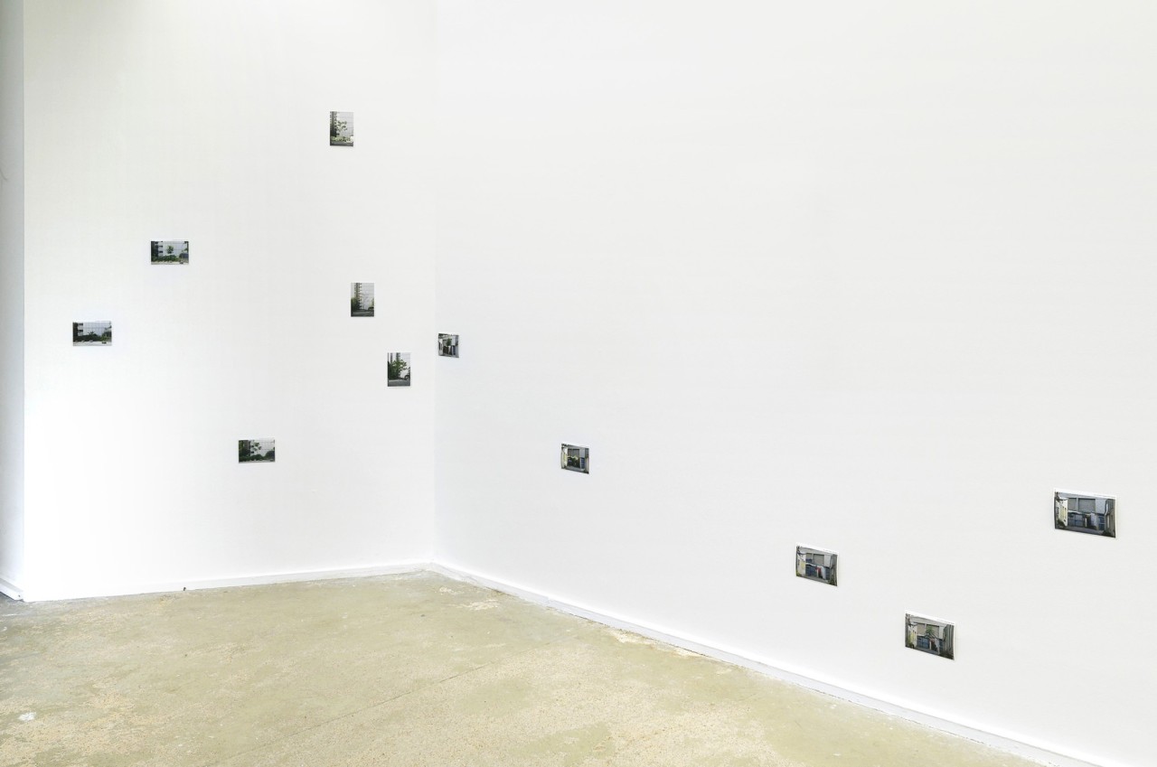 Simon Boudvin, Ailanthus altissima, 2023