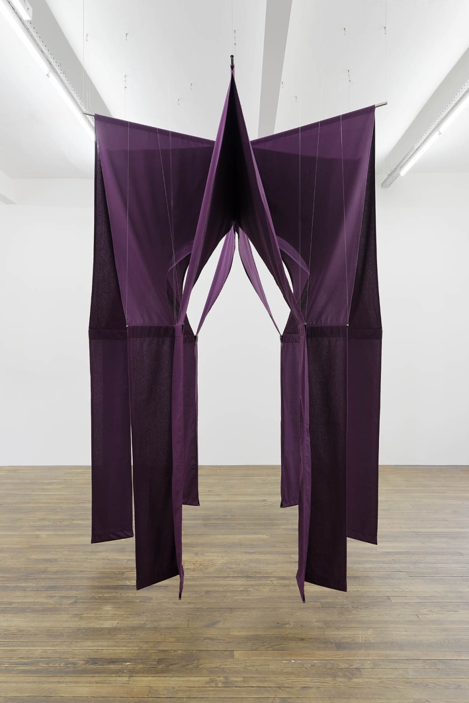 Musa paradisiaca (Eduardo Guerra, Miguel Ferrão), Baldaquino [Baldaquin], 2014