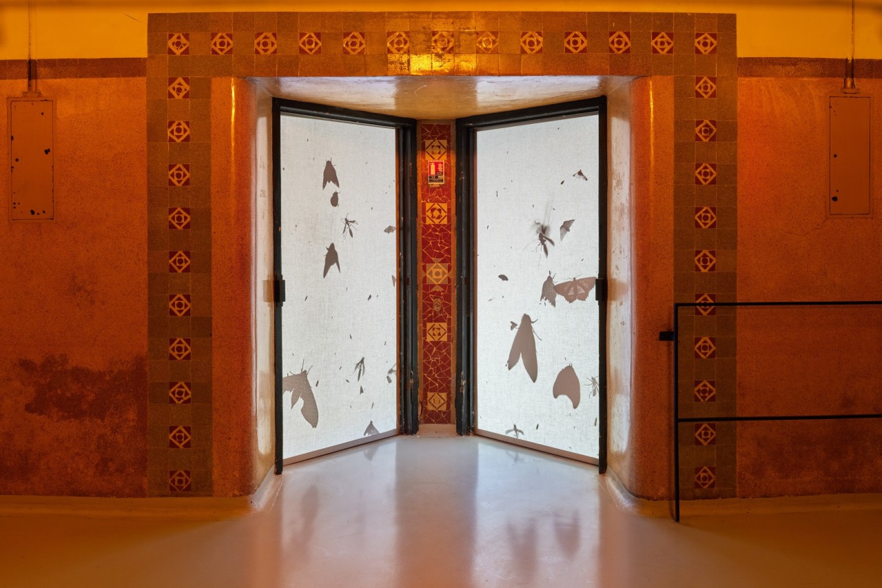 Yuyan Wang, Sandar Tun Tun, Birdview, 2025