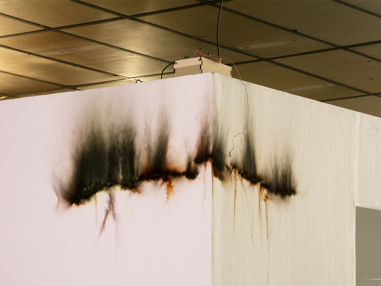 Élisa Pône, Blurry Shades, 2021
