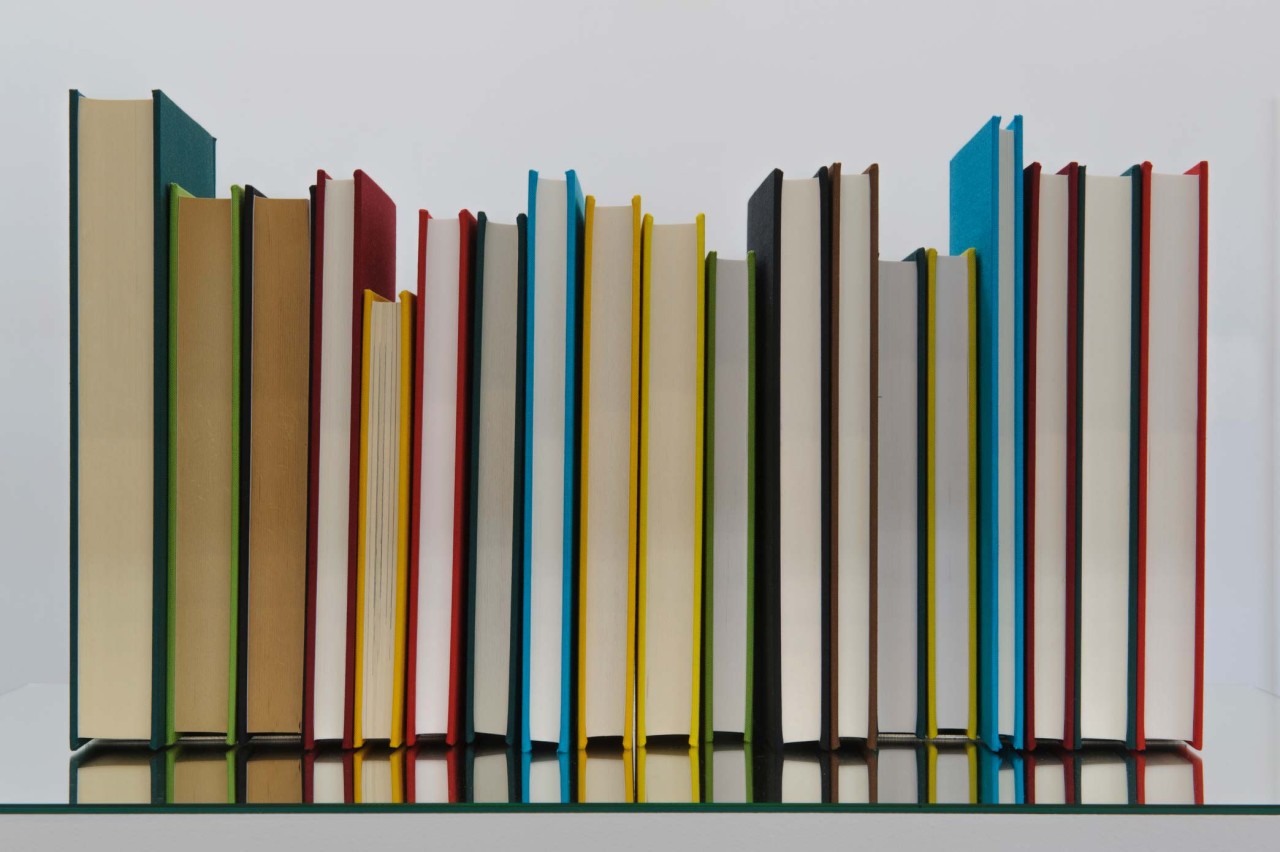 Jorge Méndez Blake, Borges’ Bookshelf II, 2015