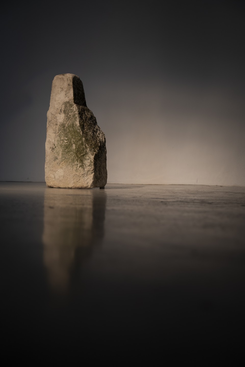 Gaëlle Cognée, Borne, 2024
