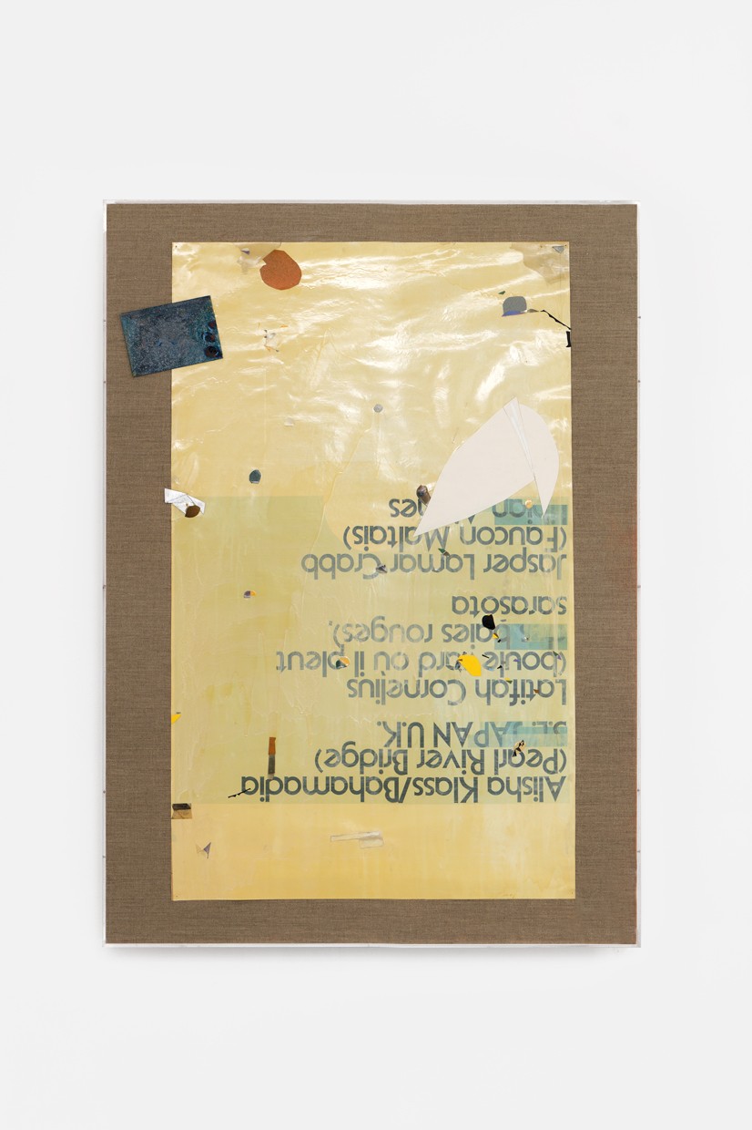 Niels Trannois, Boulevard où il pleut des baies rouges, 2022