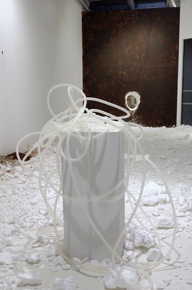 Michel Blazy, Boyau qui pousse, 2014
