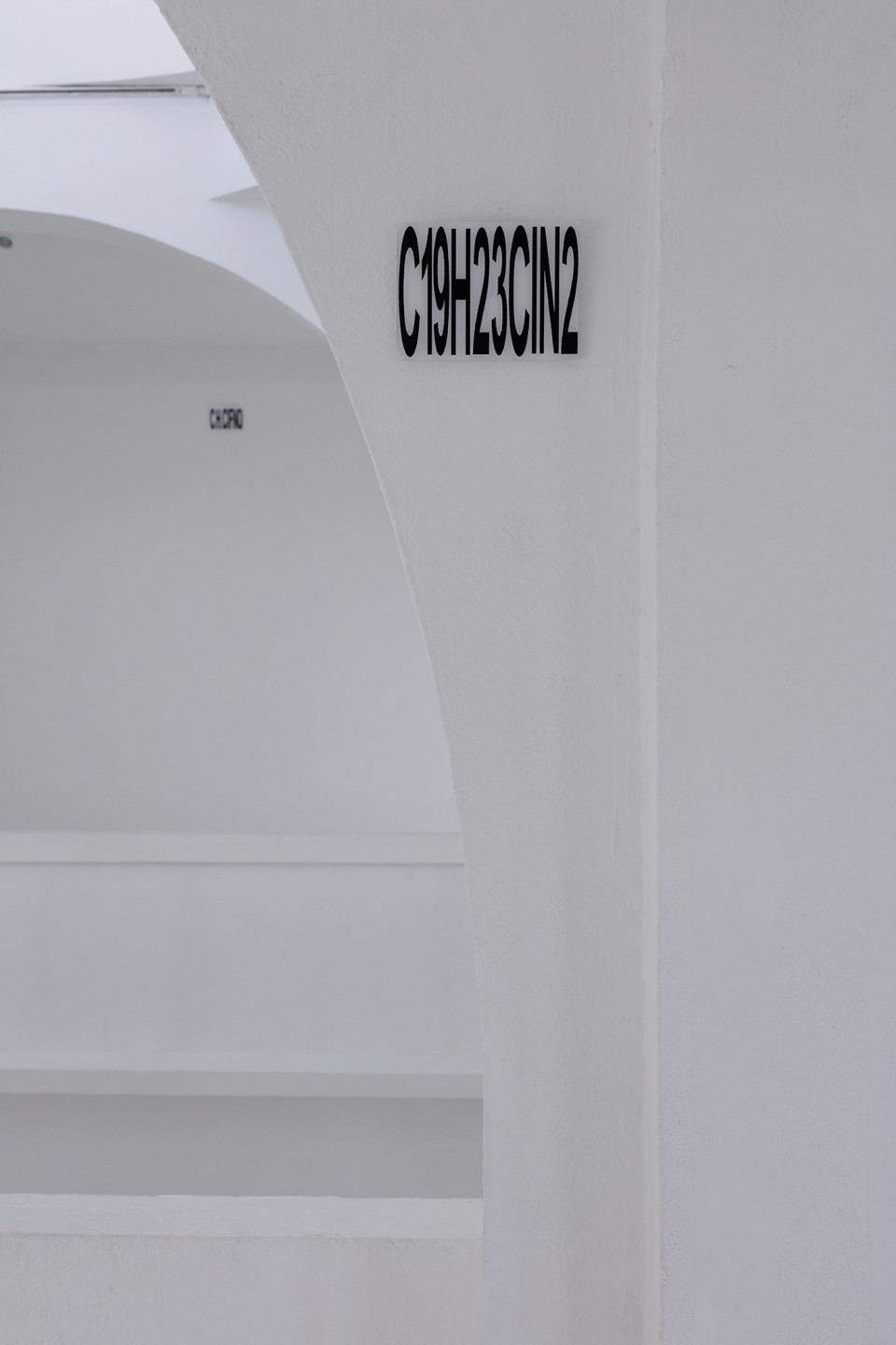 Patrik Pion, C19H23CIN2, 2021
