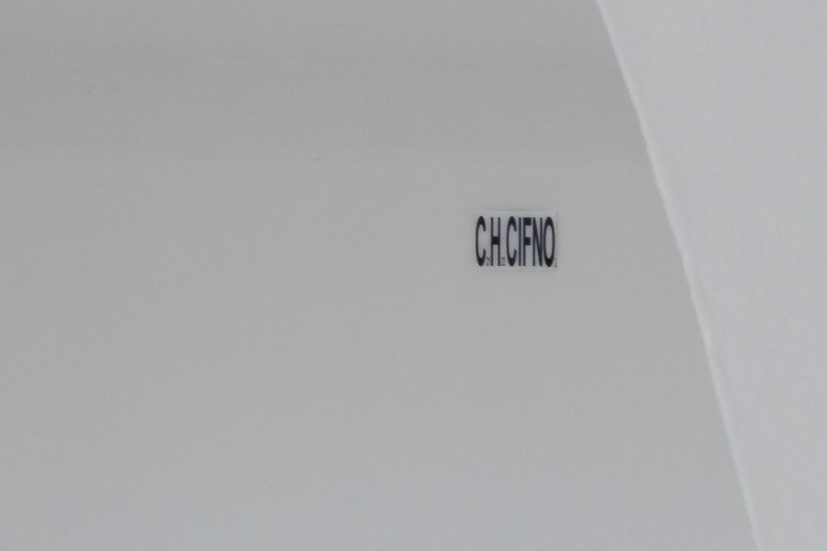 Patrik Pion, C21H23CIFN02, 2021