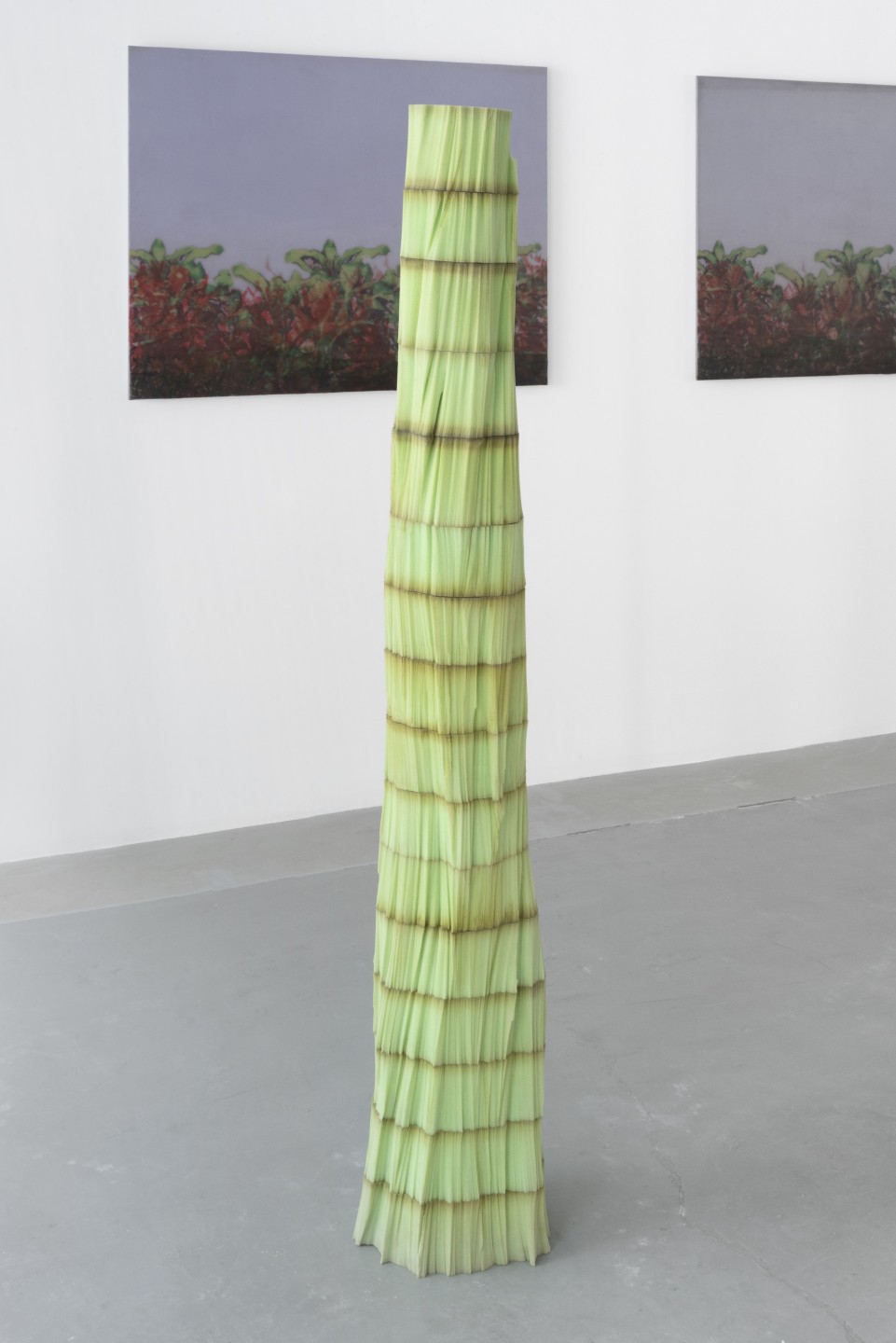 Bruno Silva, Cactus, 2021, Le Creux de l'Enfer