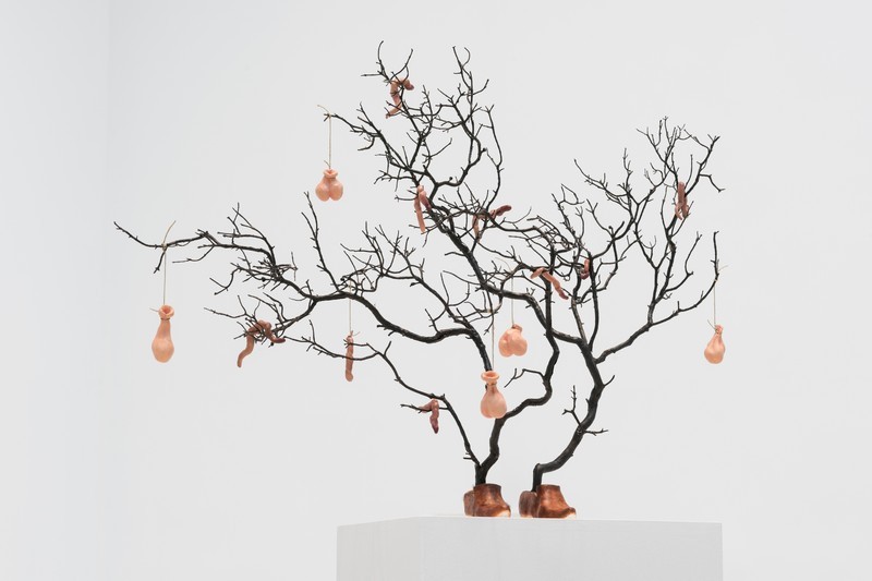Anthony Duchêne, Canta Mañana, 2021, vue de l'exposition Aterrir, 2021, La Ferme du Buisson