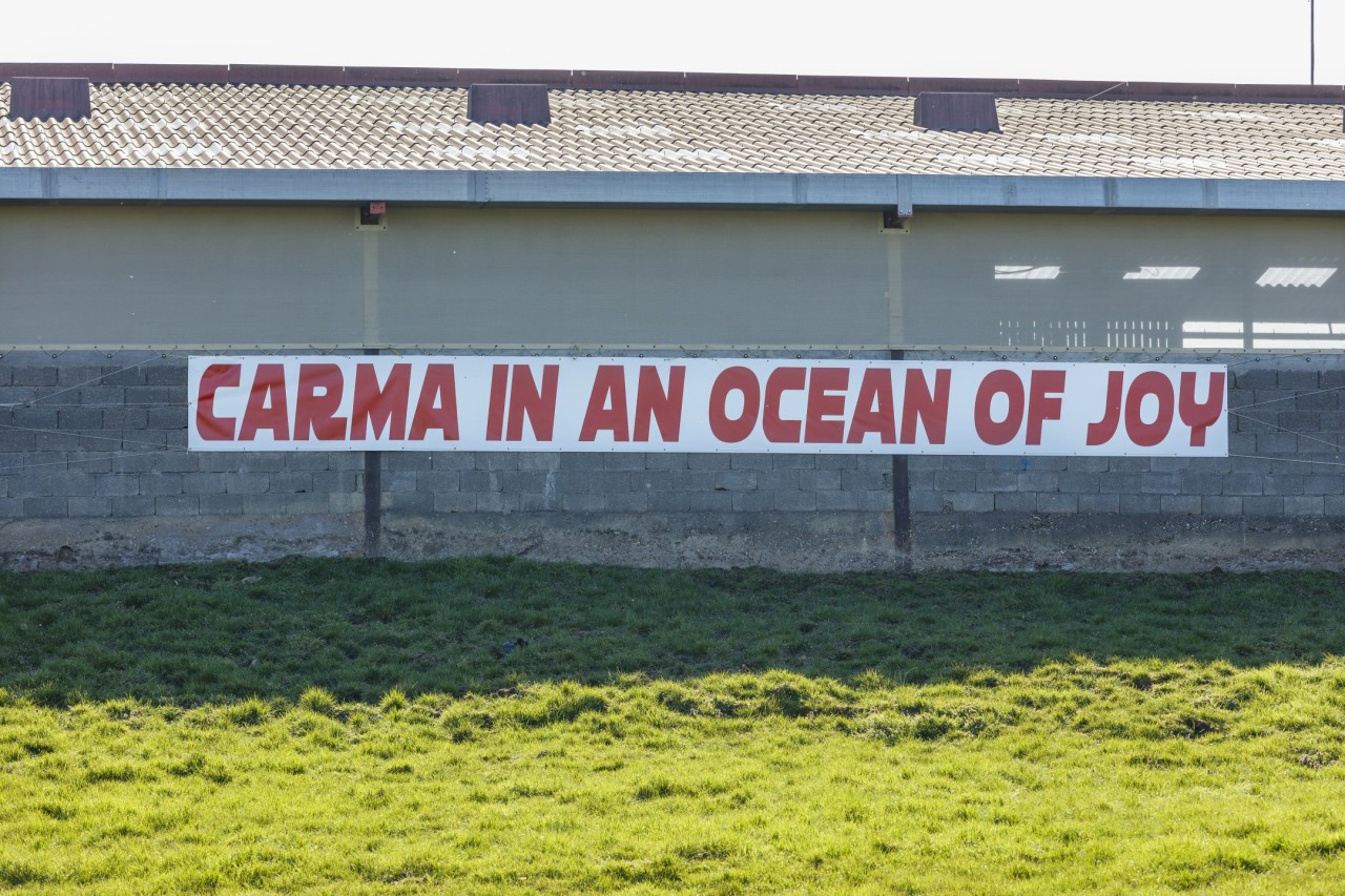 Zuzanna Czebatul, Carma in an Ocean of Joy, 2021, CAC-La synagogue de Delme