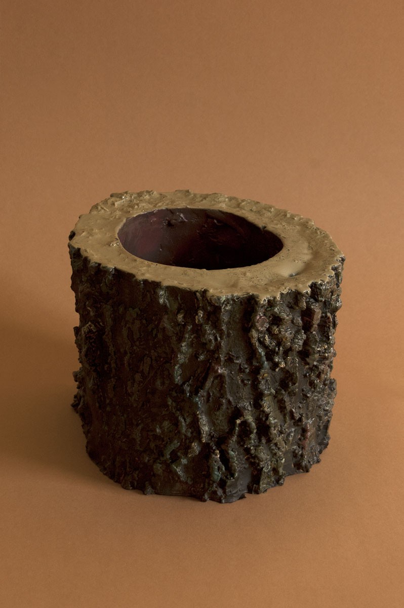 Musa paradisiaca (Eduardo Guerra, Miguel Ferrão), Casca [Bark], 2014