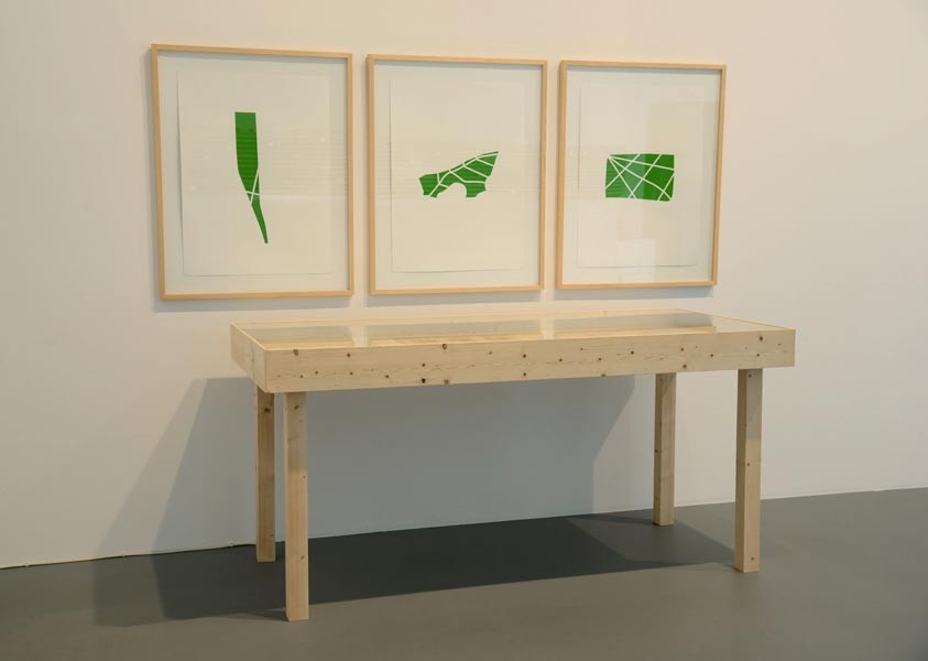 Les Frères Ripoulain (David Renault, Mathieu Tremblin), Chemins du désir, 2013–2014
