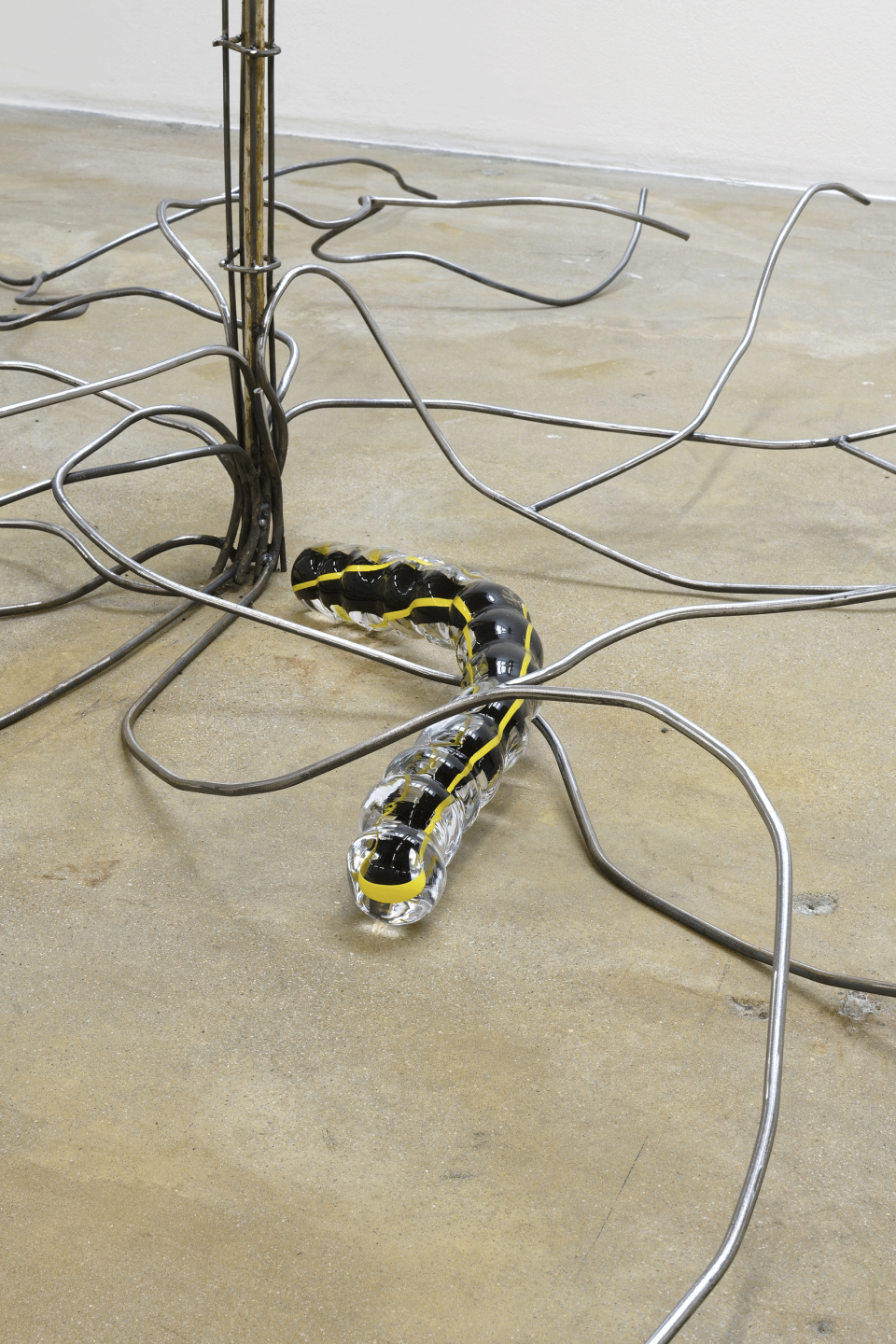 Nona Inescu, Chenille 1 (Monarch Butterfly), 2023