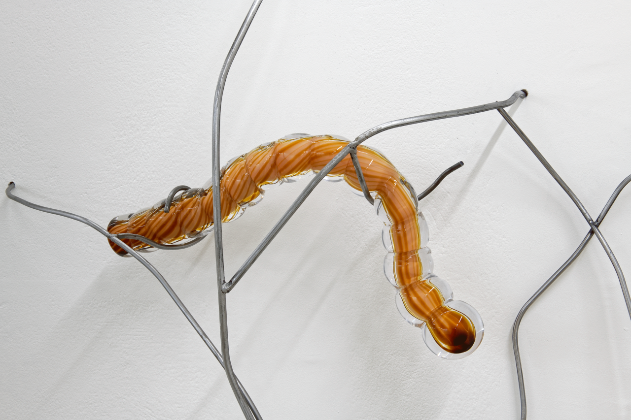 Nona Inescu, Chenille 2 (Helicoverpa), 2023
