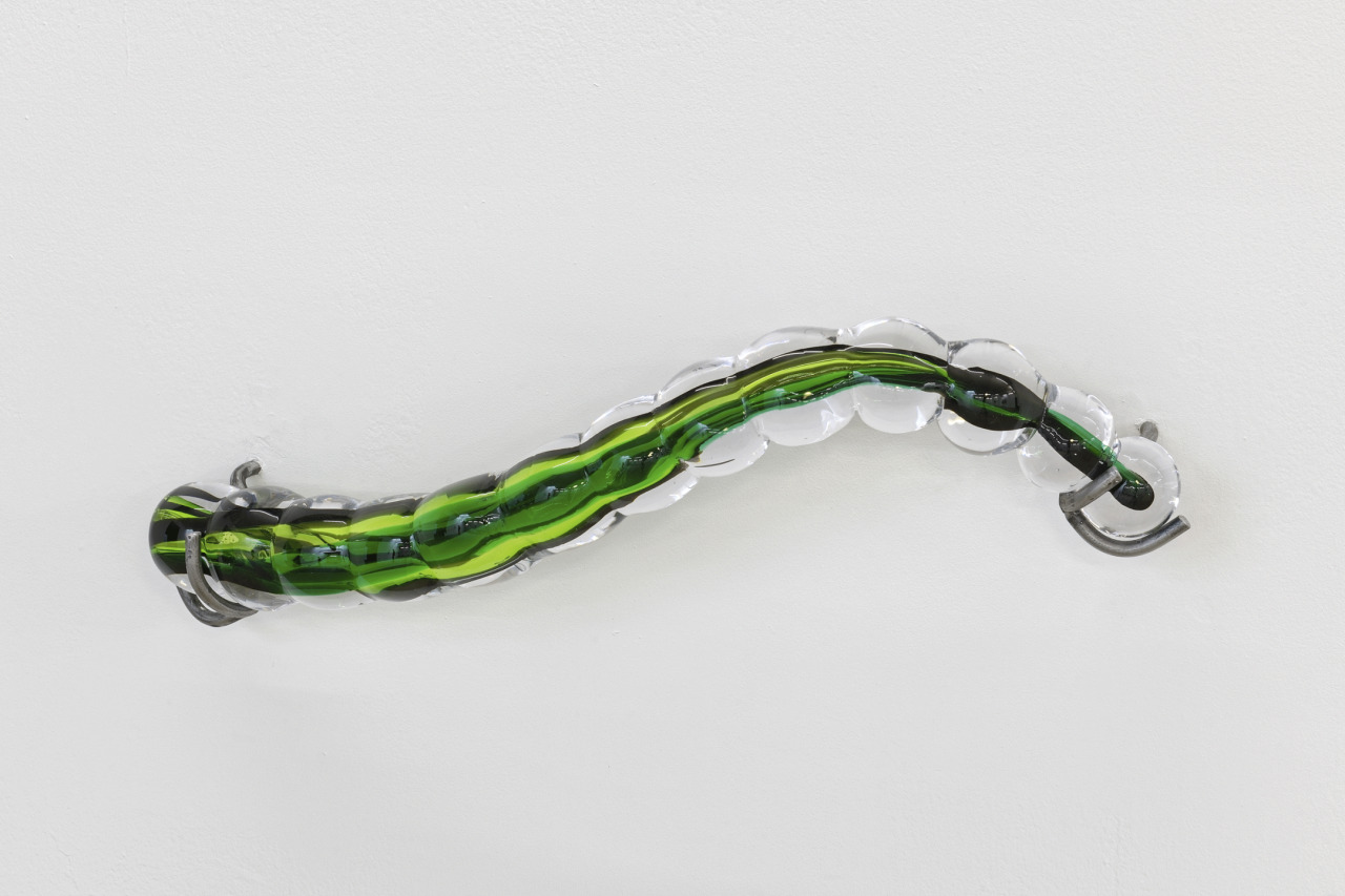Nona Inescu, Chenille 3 (Anise Swallowtail), 2023