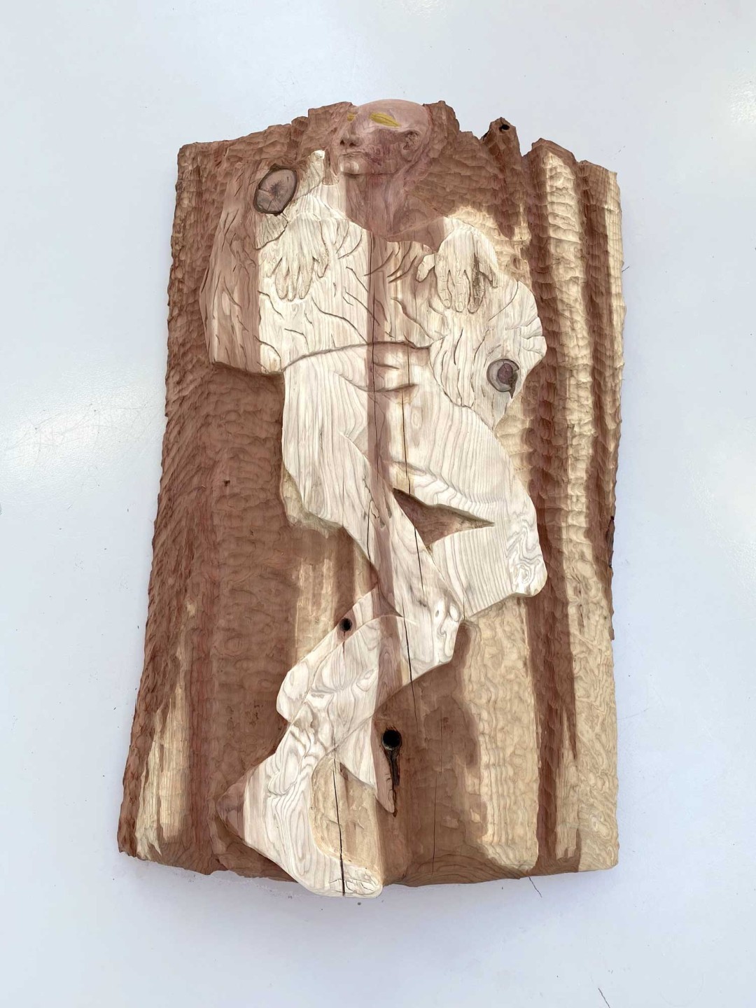 C'est un bois de séquoia de 130 centimètres de haut pour 85 centimètres de large. Dans le bois est sculpté une figure humaine tenant un chien.