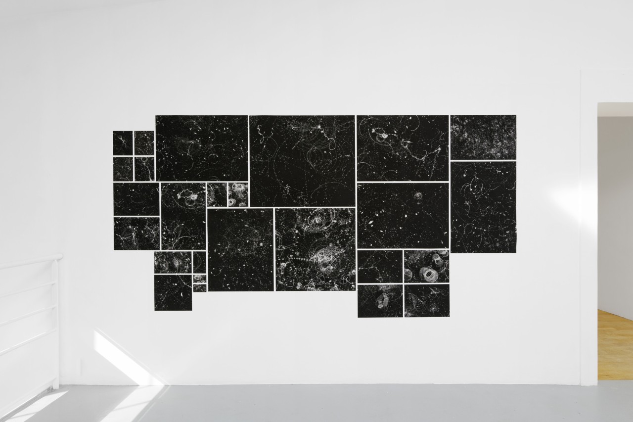 Patricia Belli, Cielos, 2019