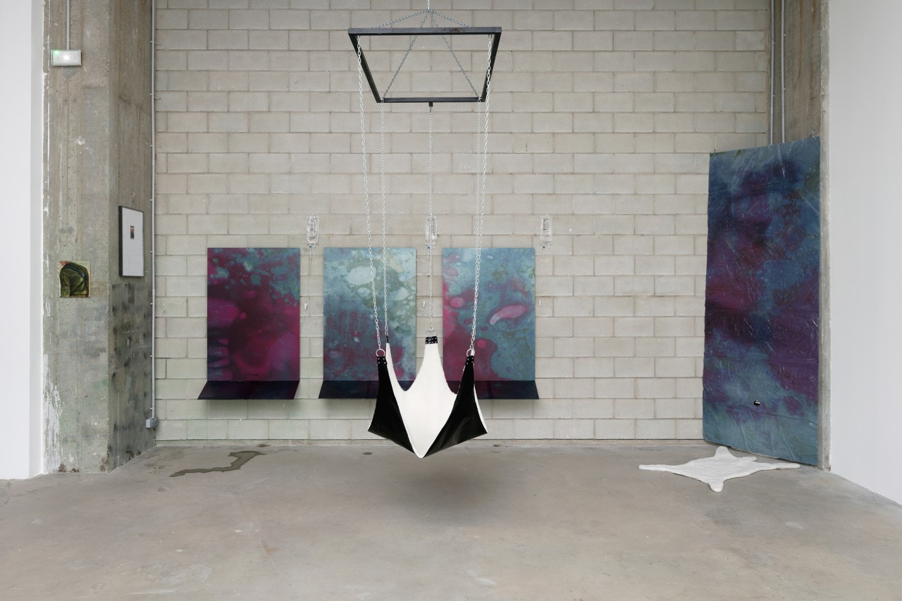 Hamid Shams, Comfort Zone, 2018–2019