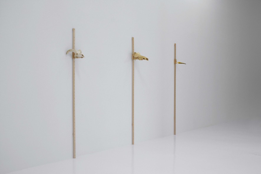 Céline Cléron, Conseil de révision, 2015