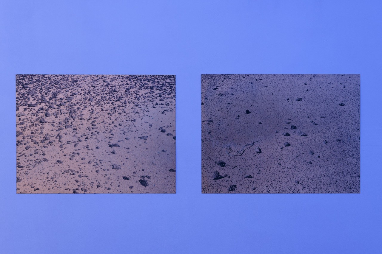 Florent Meng Lechevallier, Copper Plates, 2024