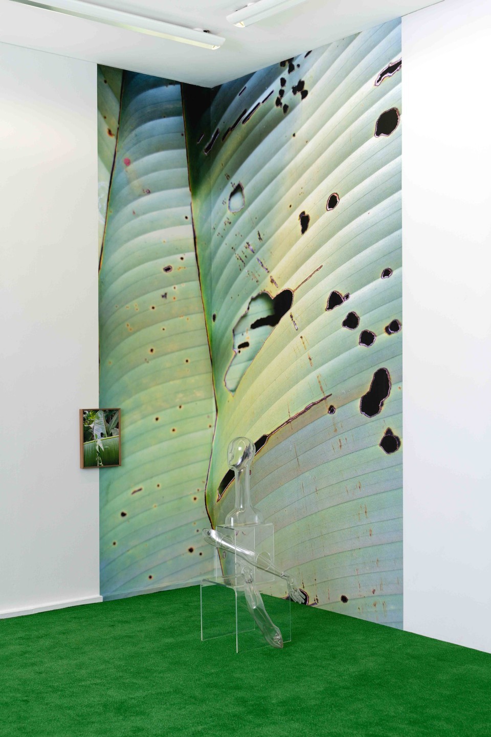 Anouk Kruithof, Decoded, 2023