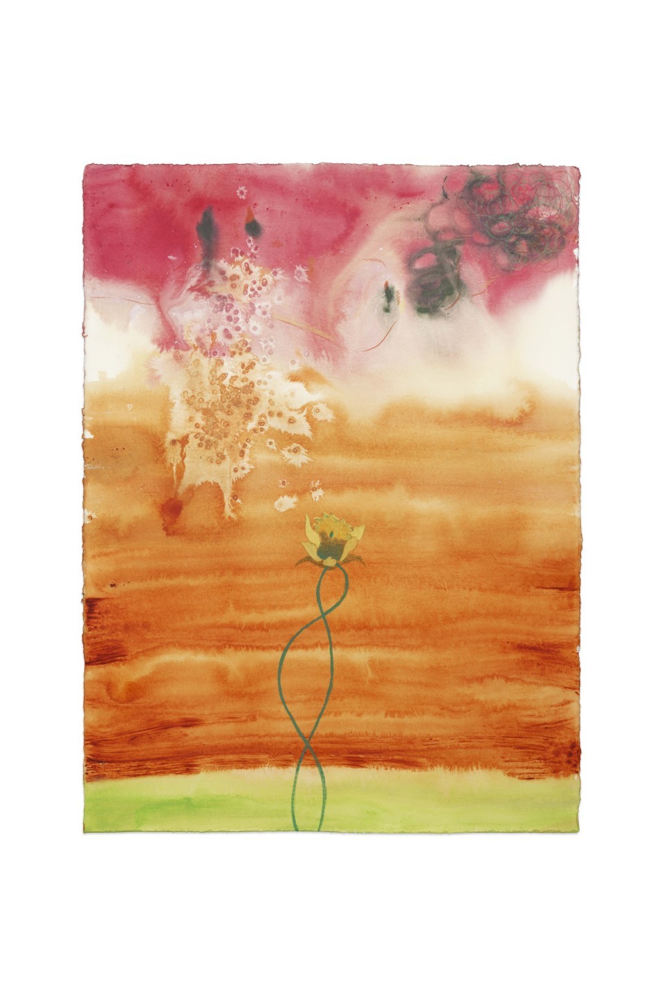 Anthony Cudahy, Degraded Narcissus, ocular migraine, mutated flower(11), 2024