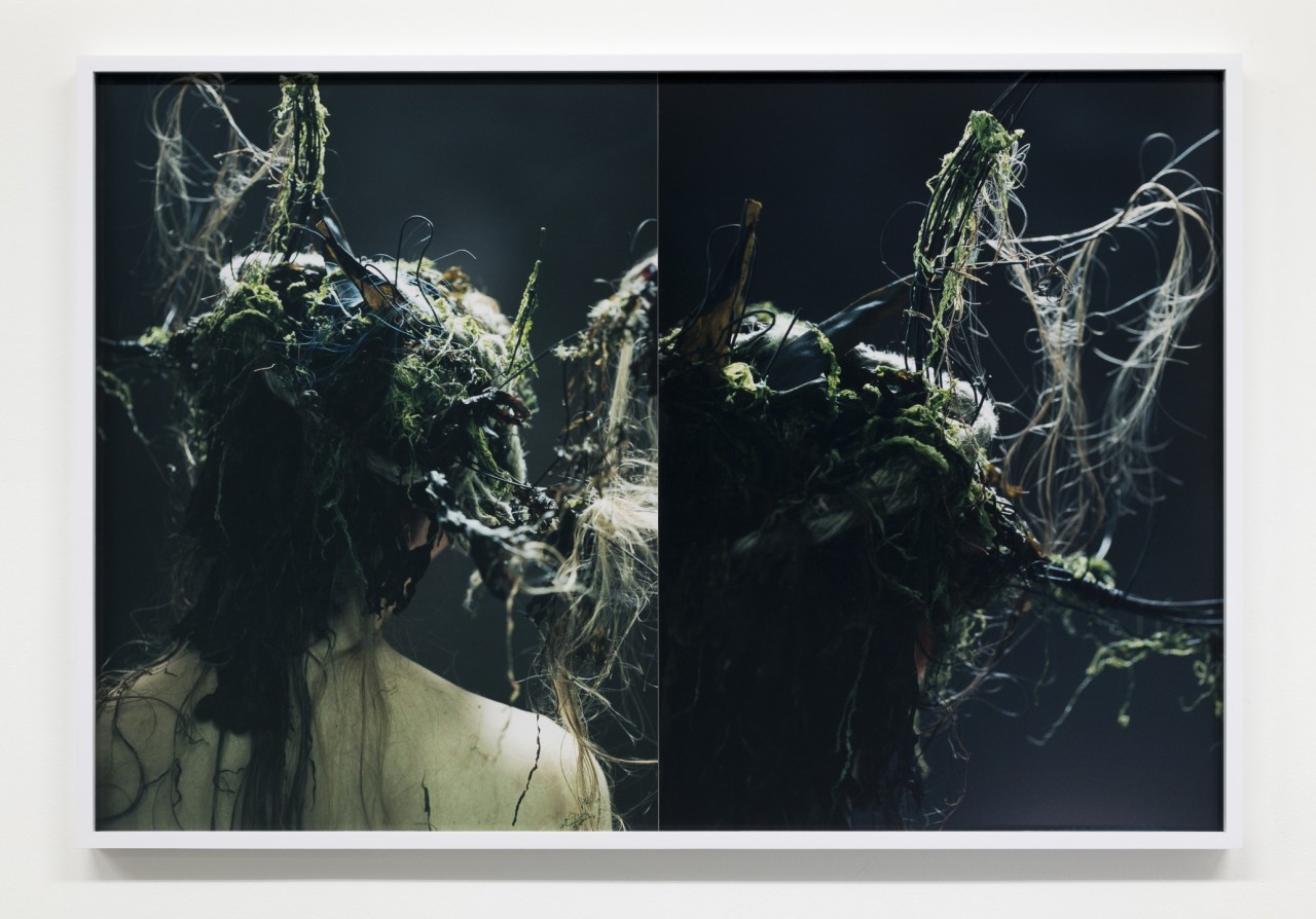 Josephine Pryde, Dilemmas I, 2023