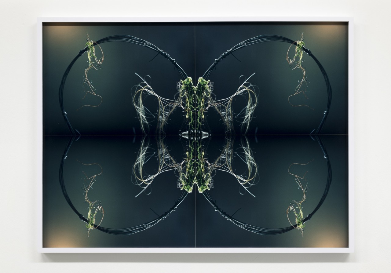 Josephine Pryde, Dilemmas II, 2023