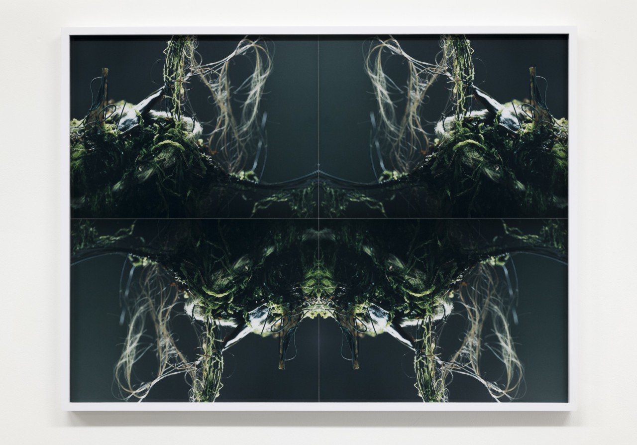 Josephine Pryde, Dilemmas III, 2023