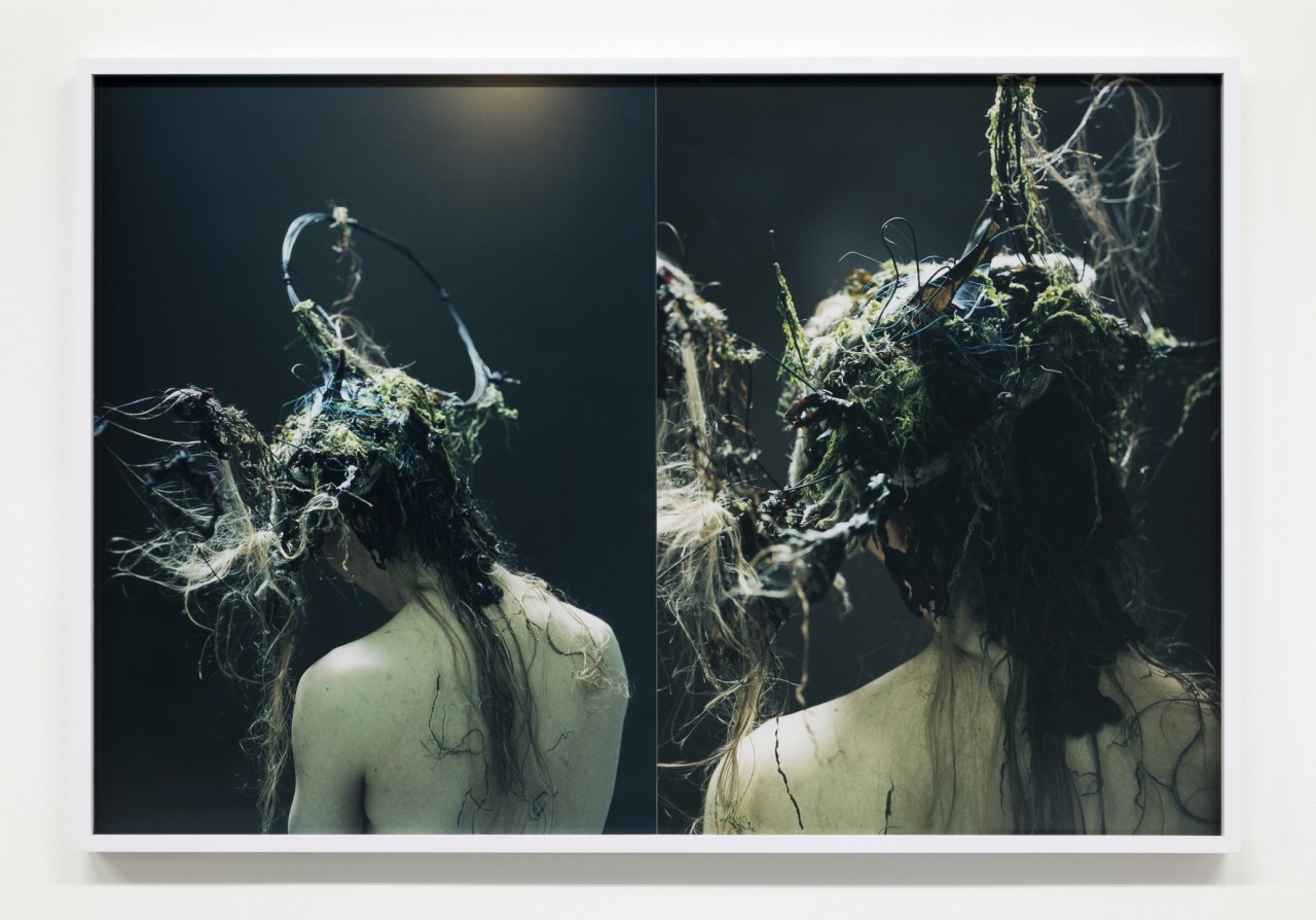 Josephine Pryde, Dilemmas IV, 2023