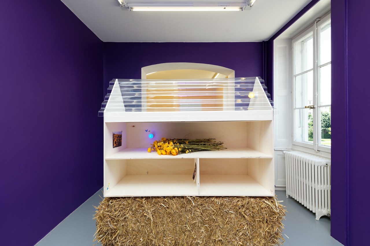 It’s Our Playground (Camille Le Houezec, Jocelyn Villemont), Dollhouse, 2019