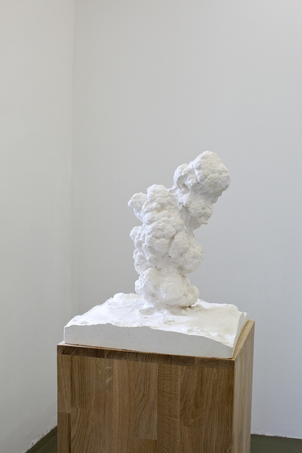 Thu Van Tran, Eruption #5, 2013