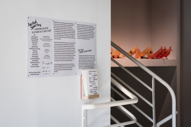 Edition d'un fanzine installé sur un socle mural