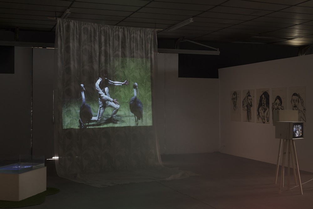 Marie Losier, Felix Kubin et son orchestre d'animaux, 2018. Vue de l'exposition « Hello Happiness ! », BBB centre d'art, 2018.