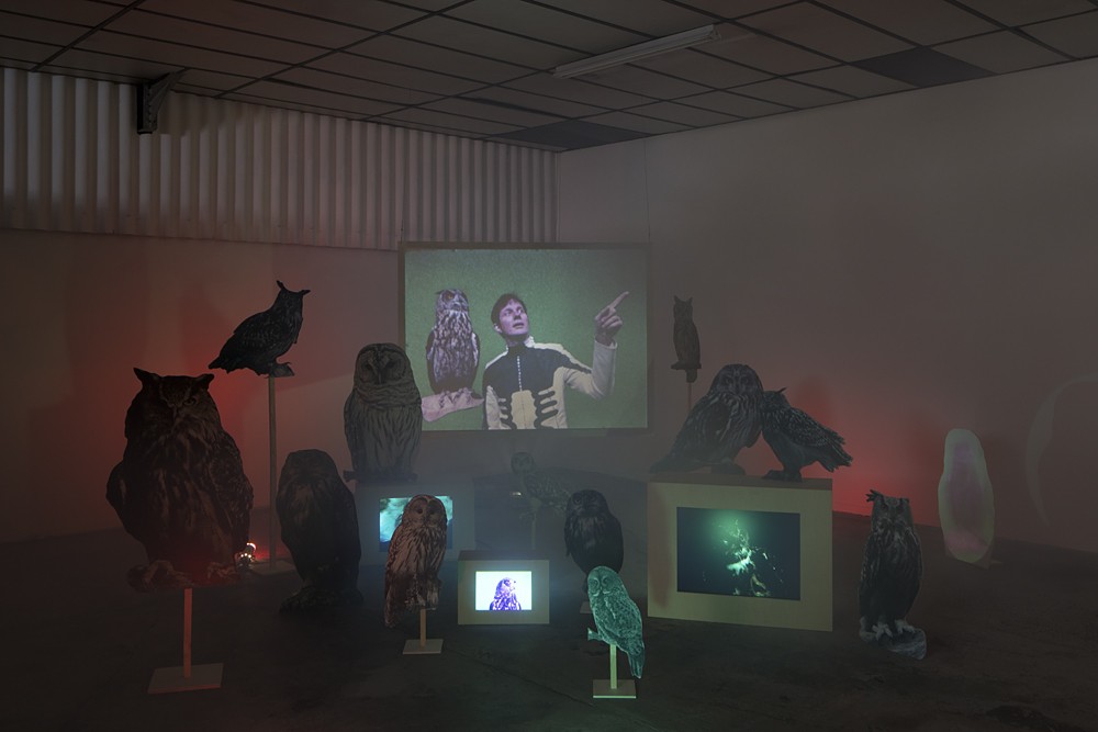 Marie Losier, Felix Kubin - "There is a Garden", 2018. Vue de l'exposition « Hello Happiness ! », BBB centre d'art, 2018.
