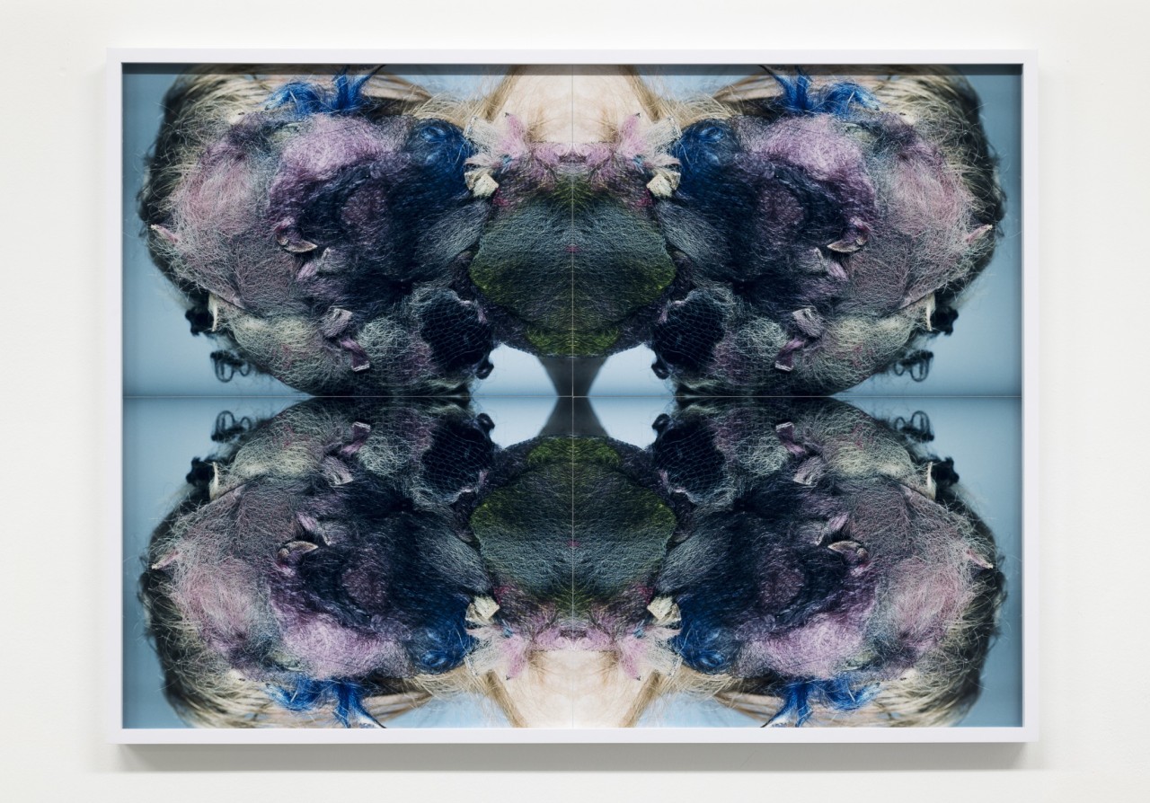 Josephine Pryde, Forebodings I, 2023