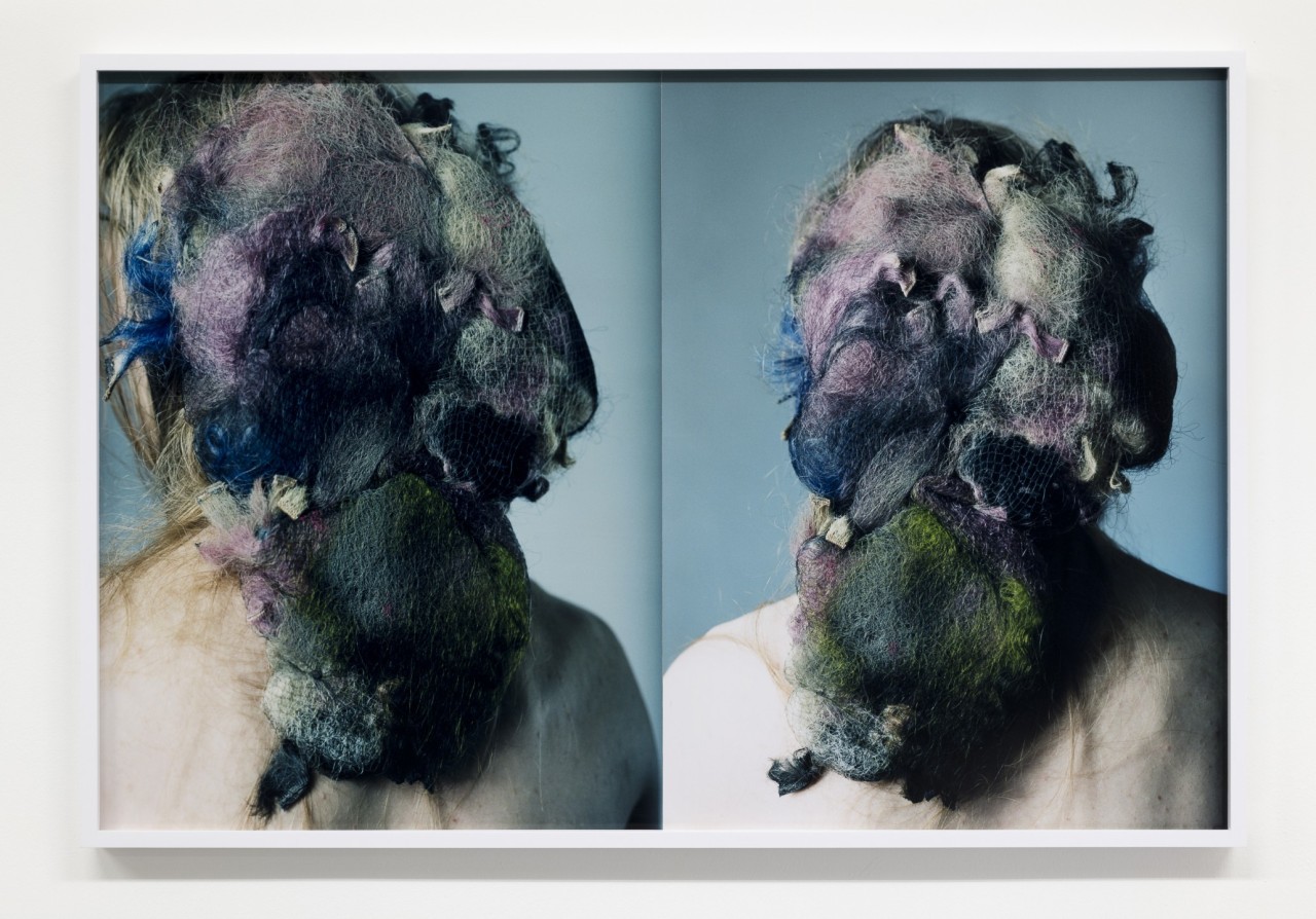 Josephine Pryde, Forebodings V, 2023