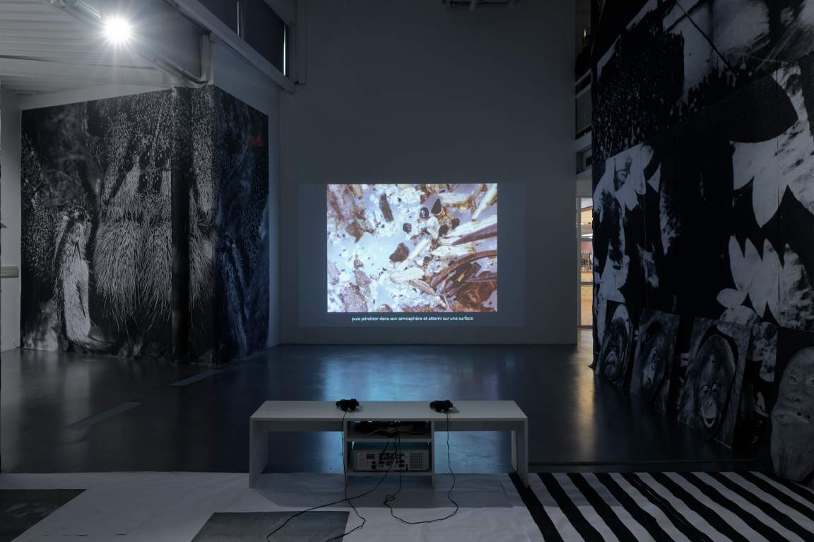 Kelly Jazvac, Forward Contamination, 2017