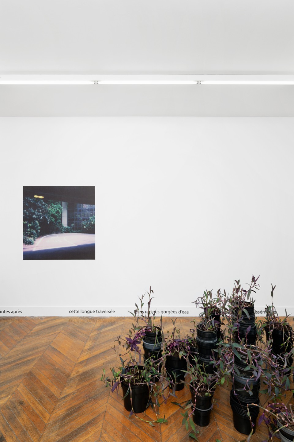 Marie Ouazzani & Nicolas Carrier (Marie Ouazzani, Nicolas Carrier), Giardini plastica 1, 2022