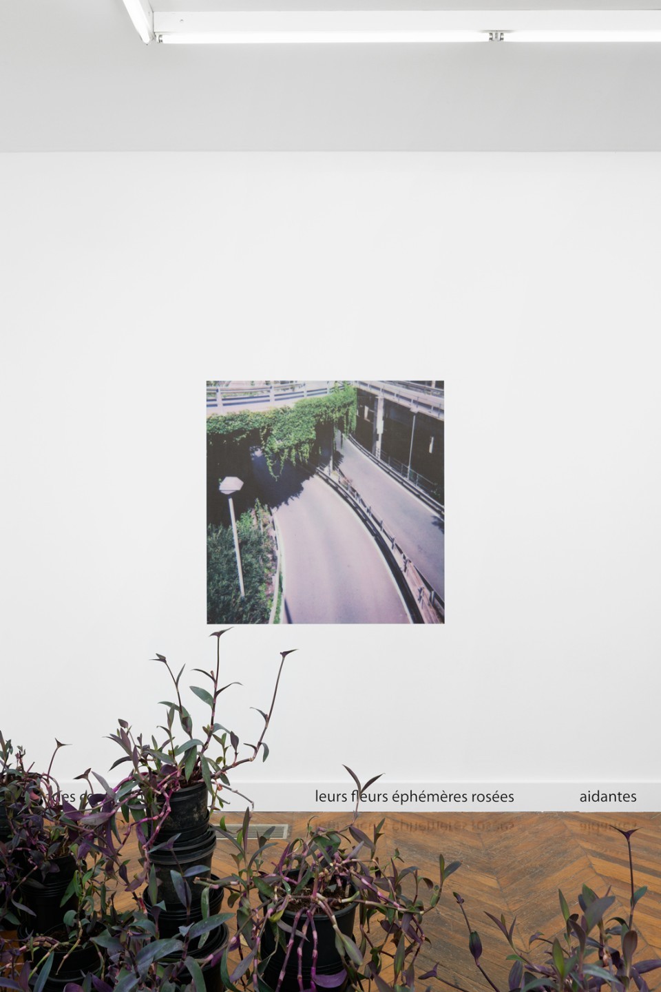 Marie Ouazzani & Nicolas Carrier (Marie Ouazzani, Nicolas Carrier), Giardini plastica 2, 2022