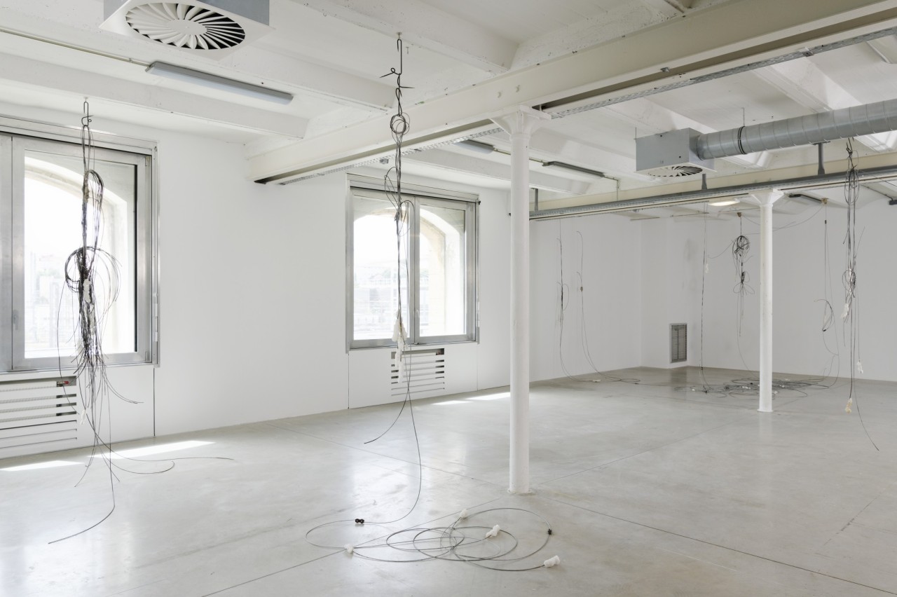 Aurélien Potier, Grow, 2022
