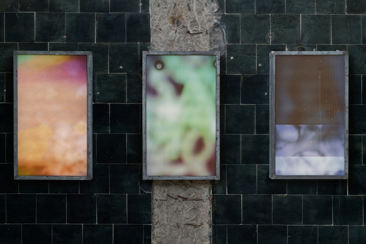 Triptyque d’images réalisées en plongeant des négatifs photographiques dans l’eau du Port de Brest. Les immersions varient en profondeur et en durée, dégradant les supports argentiques de manières imprévisibles. Cette pêche au paysage tente de capter une représentation expérimentale des interactions qui ont lieu dans l’écosystème portuaire. L’altération de la chimie photographique au moyen des sels et de la vie sous-marine convoque la sensation d’ivresse des profondeurs.