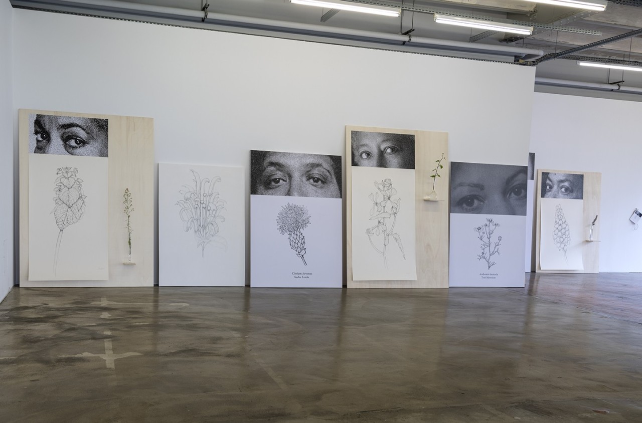 Paula Valero Comín, Herbier résistant Rosa Luxemburg / Correspondances, 2024