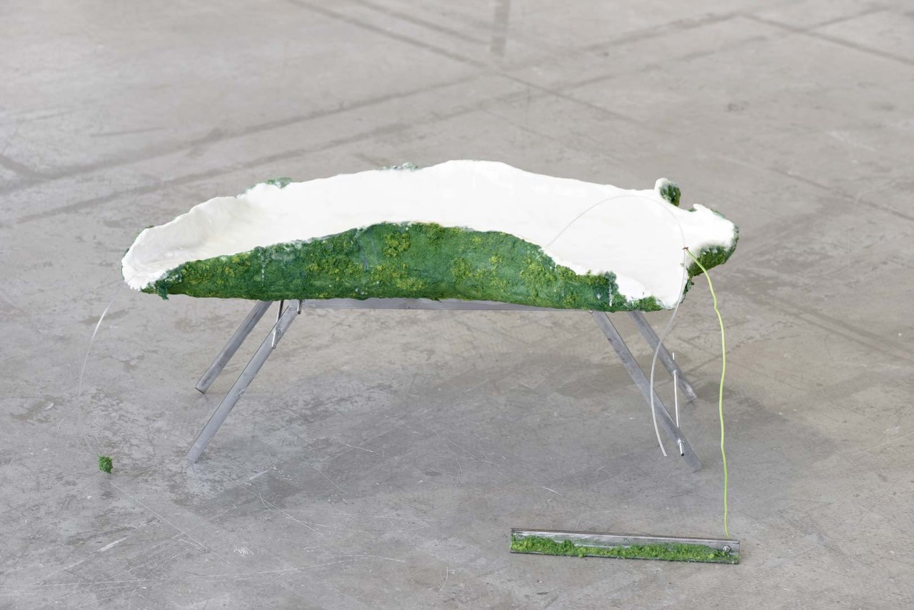 Nobuko Tsuchiya, Hola Caracola, 2015