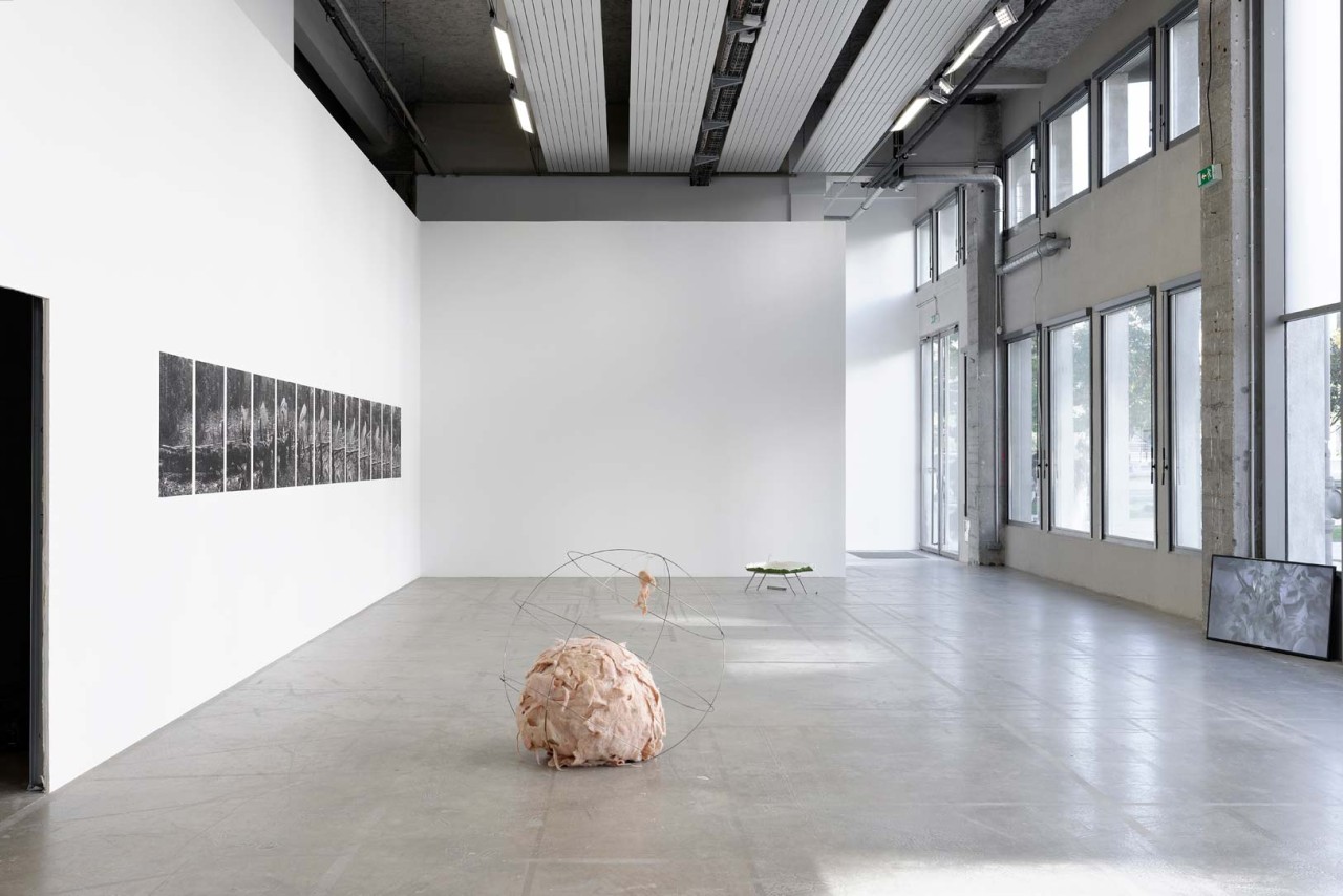 Nobuko Tsuchiya, Hola, 2015