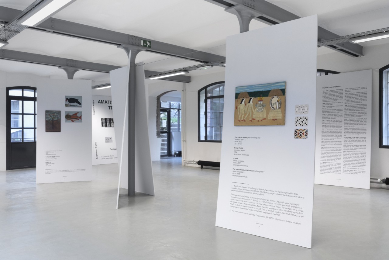 Jérôme de Vienne, vue de l'exposition Amatiwana Trumai, 2021, Le Creux de l'Enfer