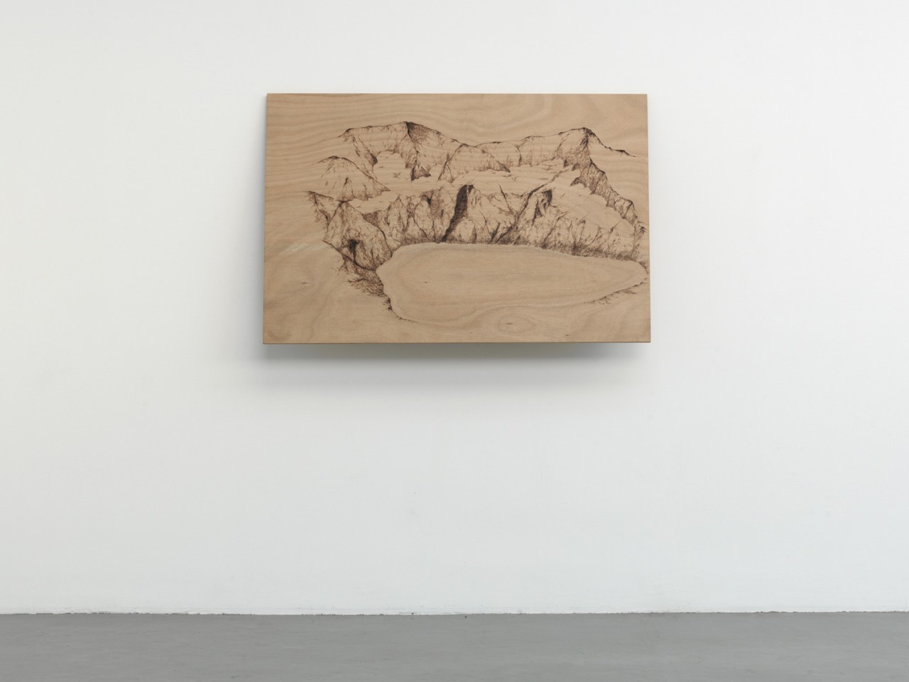 Paysage en pyrogravure sur bois